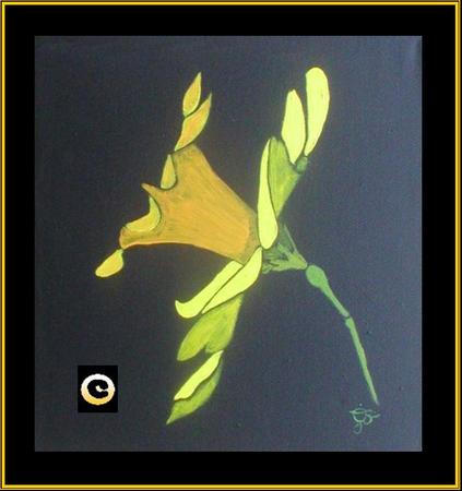 Daffodil Solo
