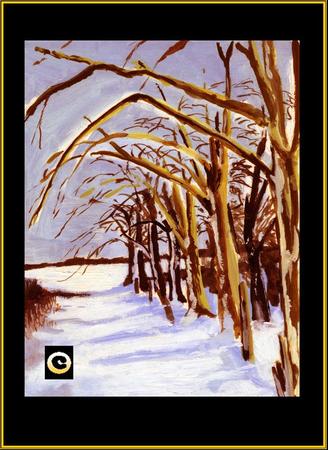 Warm winter sunshine