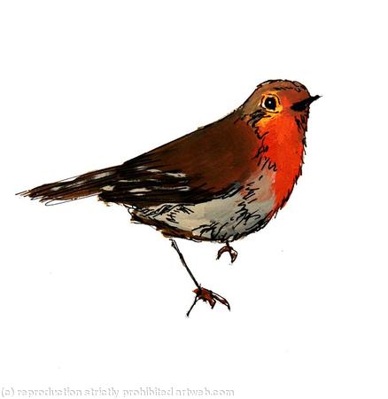 Robin