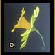 Daffodil Solo | £80 | 20 x 20cm | Acrylic Box Canvas Daffodil Solo