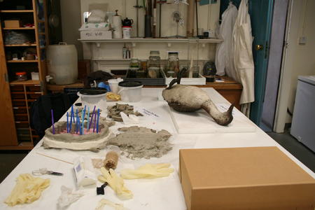 Mould Making @ Norwich Castle Museum