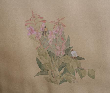 bee on the willowherb, Little Paxton 2008