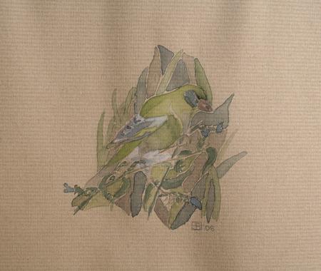 greenfinch, Little Paxton 2008