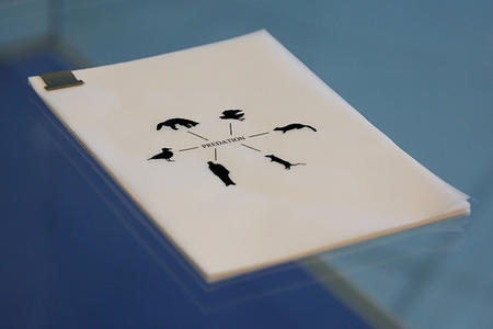 Notebooks (detail)