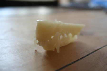 Fox Jaw Proto Cast for Animus flux