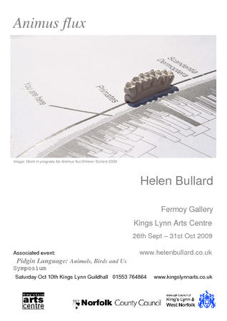 Animus flux 26th Sept - 31st Oct 2009 Fermoy Gallery Kings Lynn Arts Centre