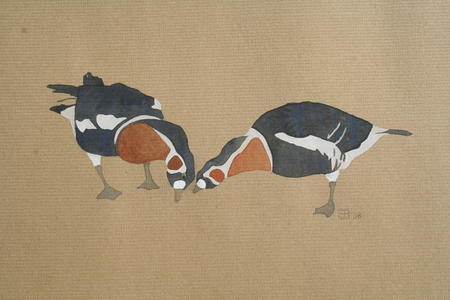 Red-breasted Geese, Fakenham 08