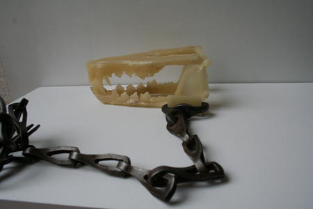 Protocast of closed fox trap hybrid for Animus flux