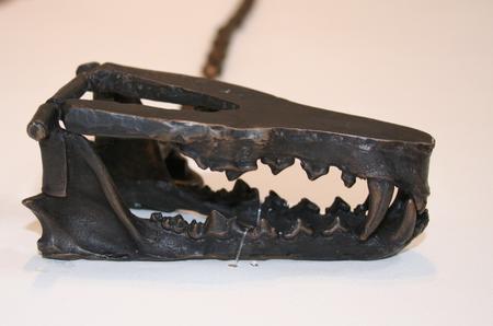 Fox-trap (for Weapons of Defence series)