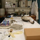 Mould Making @ Norwich Castle Museum - 
