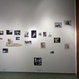 Installation view, Standing Heat, The Front, New Orleans, LA - 