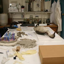 Mould Making @ Norwich Castle Museum