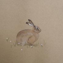 sitting hare, Orkney 2008