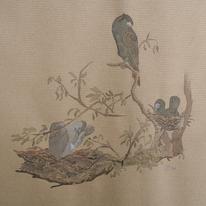 heronry with cormorant, Little Paxton 2008