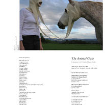 The Animal Gaze, London Metropolitan University Nov - Dec 2008