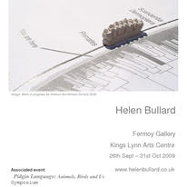 Animus flux 26th Sept - 31st Oct 2009 Fermoy Gallery Kings Lynn Arts Centre