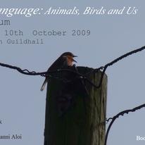 Symposium: Steve Baker, Andrea Roe, Rikke Hansen, Nicky Clayton, Rosemarie McGoldrick, Giovanni Aloi