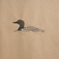 Great Northern Divers, Orkney 08