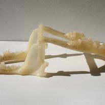 Protocast of fox trap hybrid for Animus flux