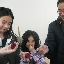 Laboratory Life visitors, Brighton Science Festival