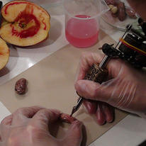 Tattooing DNA