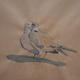 Doves, Cambridgeshire… | (sold) | | watercolour Doves, Cambridgeshire…