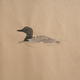 Great Northern Divers,…