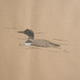 Great Northern Divers,…