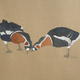 Red-breasted Geese,…