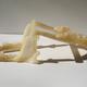 Protocast of fox trap…