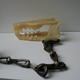 Protocast of closed…