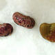 DNA tattooed beans