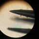 Needle Sharpening Lab
