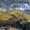 desolate landscape V