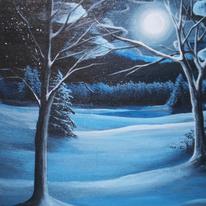 Moonlit Field