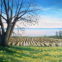 P101.Spring