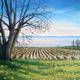 P101.Spring