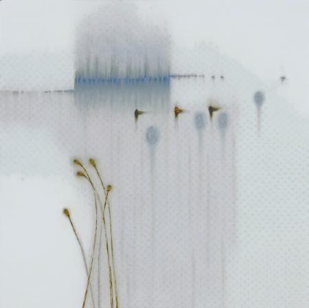 Wet Field