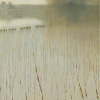 Rain Soaked Downland