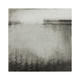 Flood Plain