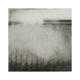 Flood Plain