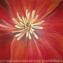 California Poppy 1