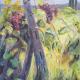 Imported Vines after…