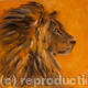 Lion Head