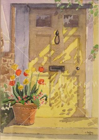 Springtime Shadows