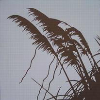Pampas Grass 