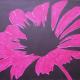 Flower Burst