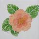 Hibiscus | £25(sold) | 11 x 11cm | Watercolour Hibiscus