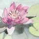 Watercolour painting…