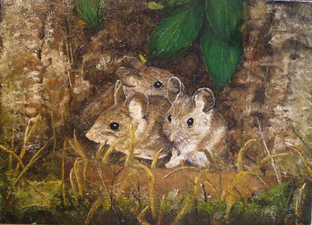 Mice